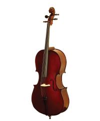 普及大提琴YWC-03